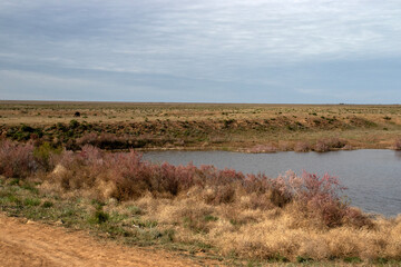 Spring landscape of a quiet river surrounded by dry grass and blooming shrubs in the steppe under a cloudy sky, with a grazing horse in the distance.