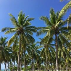Lush Green Palm Trees Under a Vivid Blue Sky