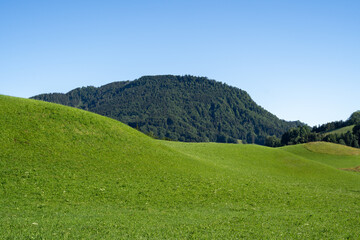 Green grass hill and clear sky in mountain landscape