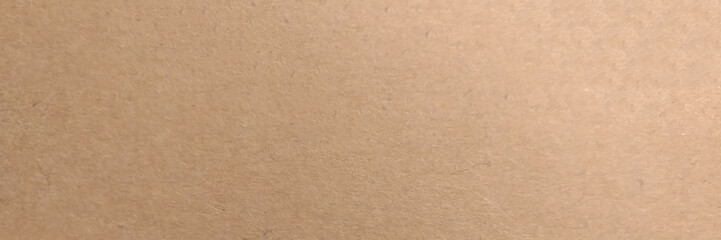 Brown paper recycled kraft texture background. Panorama view brown paper. Vector art