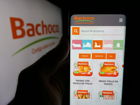 Stuttgart, Germany - 05-15-2025: Person holding smartphone with web page of company Industrias Bachoco S.A. de C.V. on screen in front of logo. Focus on center of phone display.