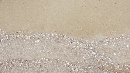 Beach sand with broken shells