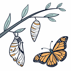 set of vector butterflies