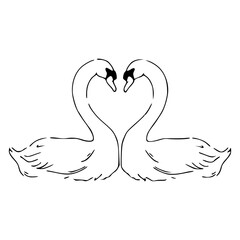 romantic swans heart shape vector