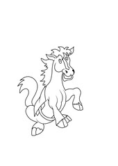 horse vector illustrations