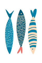 Fish illustrations, colorful with pattern. Vector Illustrations. Sardines, sea poster. Cute fish illustrations