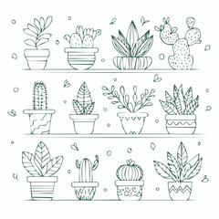 House plants drawn with soft ink lines and natural curves.