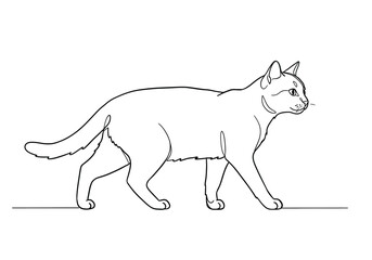 Obraz premium Cat walking drawing. It is a black and white outline image of a feline in motion, a cat walking gracefully with a sleek body and expressive eyes. Vector sketch line art draw.