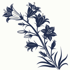 Fototapeta premium black and white bugloss