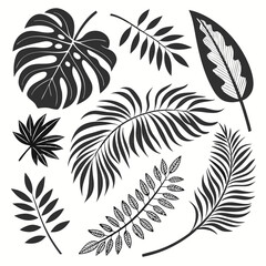 ropical leaves, palm leaves silhouettes, diverse collection, black shapes, leaf vector © Designer As HasiB