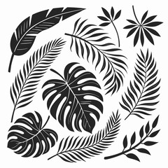 ropical leaves, palm leaves silhouettes, diverse collection, black shapes, leaf vector © Designer As HasiB