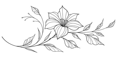 Sketch Floral Botany Collection. flower drawings. Black and white with line art on white backgrounds. Hand Drawn Botanical Illustrations.Vector