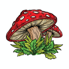 illustration art hand drawn wild mushroom and leaf tatoo and t-shirt design	
