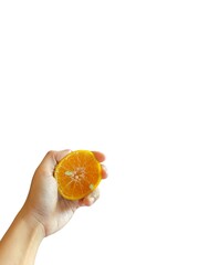 A hand holding a fresh and juicy orange, perfect for summer designs. There is a plain background and isolated white and also an image of an orange bush pattern