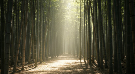 Naklejka premium rays of light