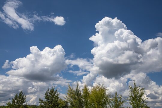 Dramatic cumulus clouds in a blue sky over treetops on a sunny summer day - Powered by Adobe