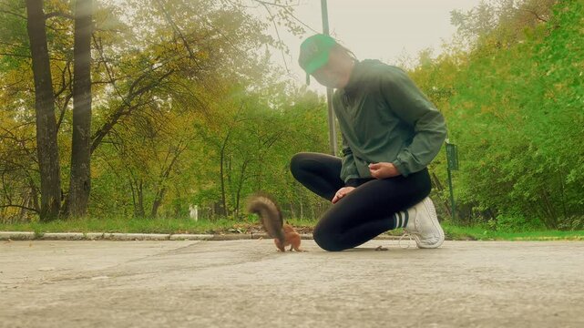 A young woman gently feeds a tame squirrel with a nut in a sunny summer park. The squirrel confidently takes the treat from her hand, creating a warm and charming interaction with nature. 