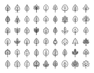 Minimalist Line Art Leaf Icons Nature Element Collection for Design Projects