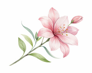 Minimal watercolor rose flower abstract vector with soft brush textures and artistic composition on a clean white background for modern elegant designs