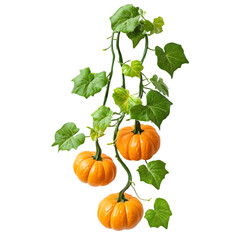 Autumn Pumpkin Vine: Decorative Fall Garland for Home Decor on white background