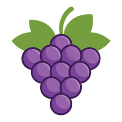 Fresh Purple Grapes with Leafy Vines