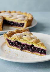 A Slice of Blueberry Pie on a Plate