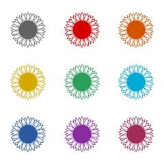 Sunflower  icon isolated on white background. Set icons colorful