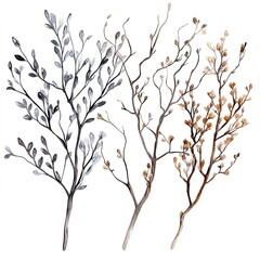 Colorful Watercolor Branches And Twigs