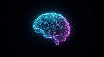 Fototapeta premium Human Brain Neural Network, Cognitive Function, and Neurological Processes