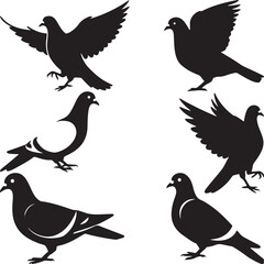 Obraz premium Black Pigeon Silhouette Set Flying Standing Dove Vector Collection