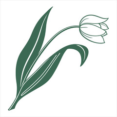 Obraz premium Print