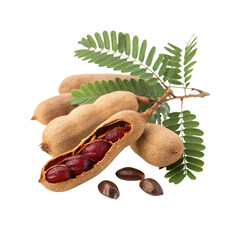 Fresh tamarind pods with leaves isolated on transparent background