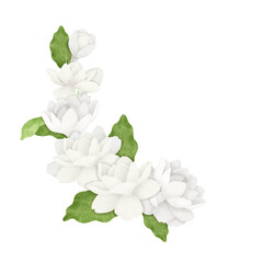 A Bouquet of White Jasmine