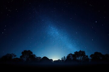 Naklejka premium Starry Night Sky Over Dark Forest