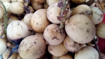 Fresh White Radishes Cluster