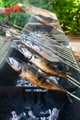 Steckerlfische - Fische auf Metallspießen - werden über Holzkohle auf einem Fest in Bayern gegrillt