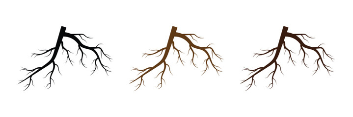 Tree root vector silhouette icon set. Set of tree roots. root of the tree icon. Vector illustration in eps 10.	