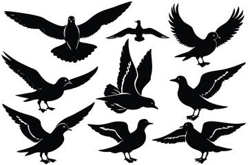 Collection of Elegant Bird Silhouettes Pigeons and Seagulls in Flight