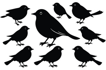 Collection of Nine Bird Silhouettes Black and White Vector Illustrations