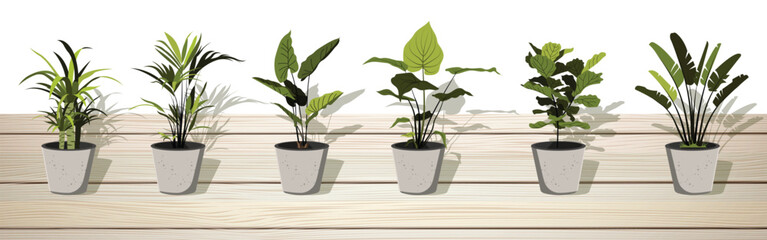 Assortment of Potted Houseplants on a Light Wooden Surface with White Background