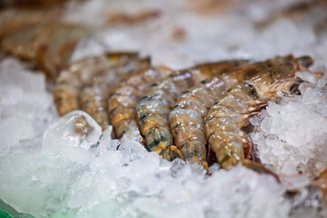 Fresh seafood display in a bustling thailand fish market
