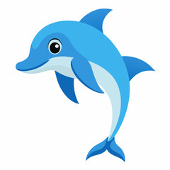 dolphin isolated on white background