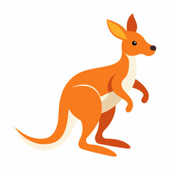 kangaroo vector illustration