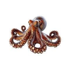 Obraz premium Common Octopus (Octopus vulgaris) - Detailed 3D Render of a Cephalopod