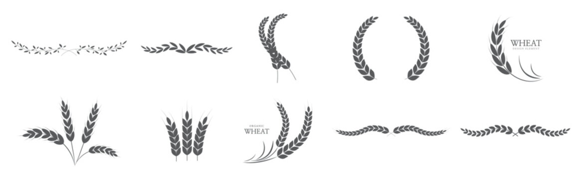 wheat ears rice icon paddy wheat laurel wreath icon vector illustration