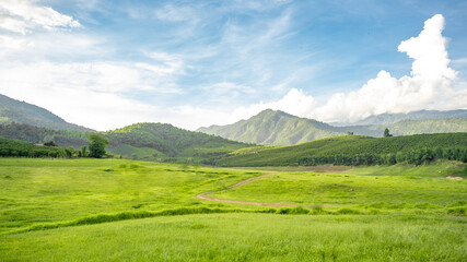 Fototapeta premium landscape with mountains and blue sky
