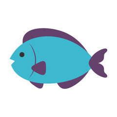 Fish Flat Illustration