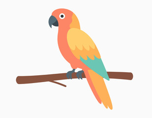 Fototapeta premium A colorful parrot perches on a brown branch showcasing shades of orange yellow and teal