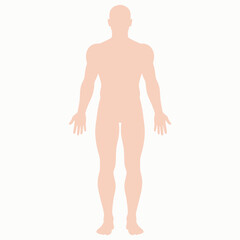 Fototapeta premium A peachcolored human silhouette stands against a blank white background