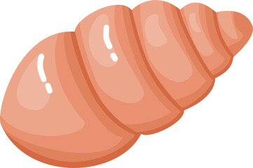 Spiral Seashell illustration